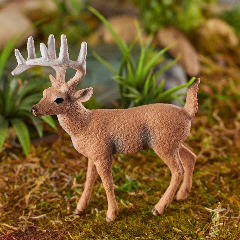 Mini Whitetail Buck Deer