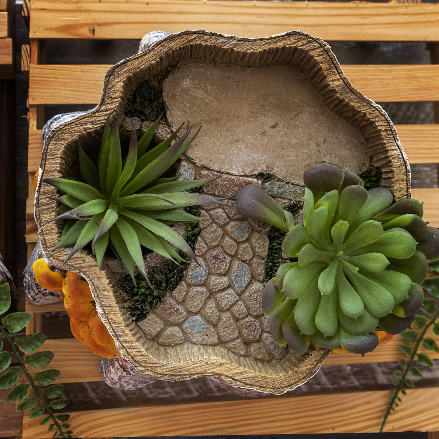 succulents in tree stump Tree Stump Planter