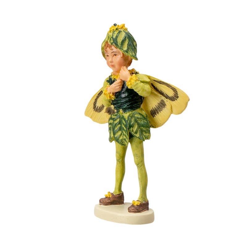 Mini Flower Fairy Boxwood