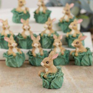 Mini Easter Bunny in Cabbage