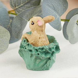 Mini Easter Bunny in Cabbage