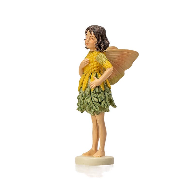 Mini Flower Fairy Ragwort