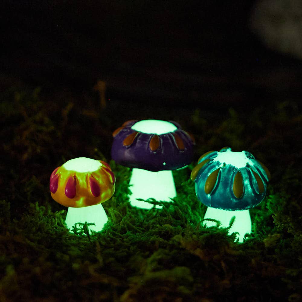 Mini Glow in the Dark Mushrooms