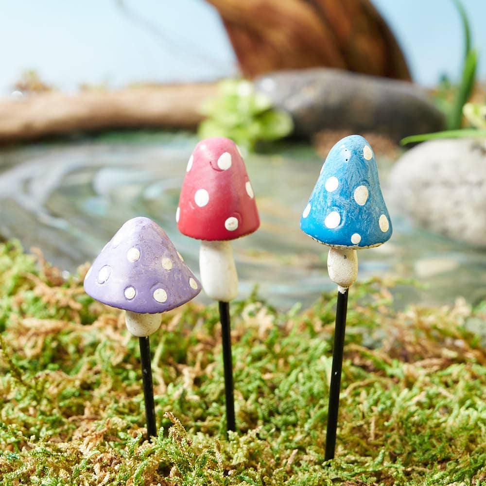 Miniature Mushrooms