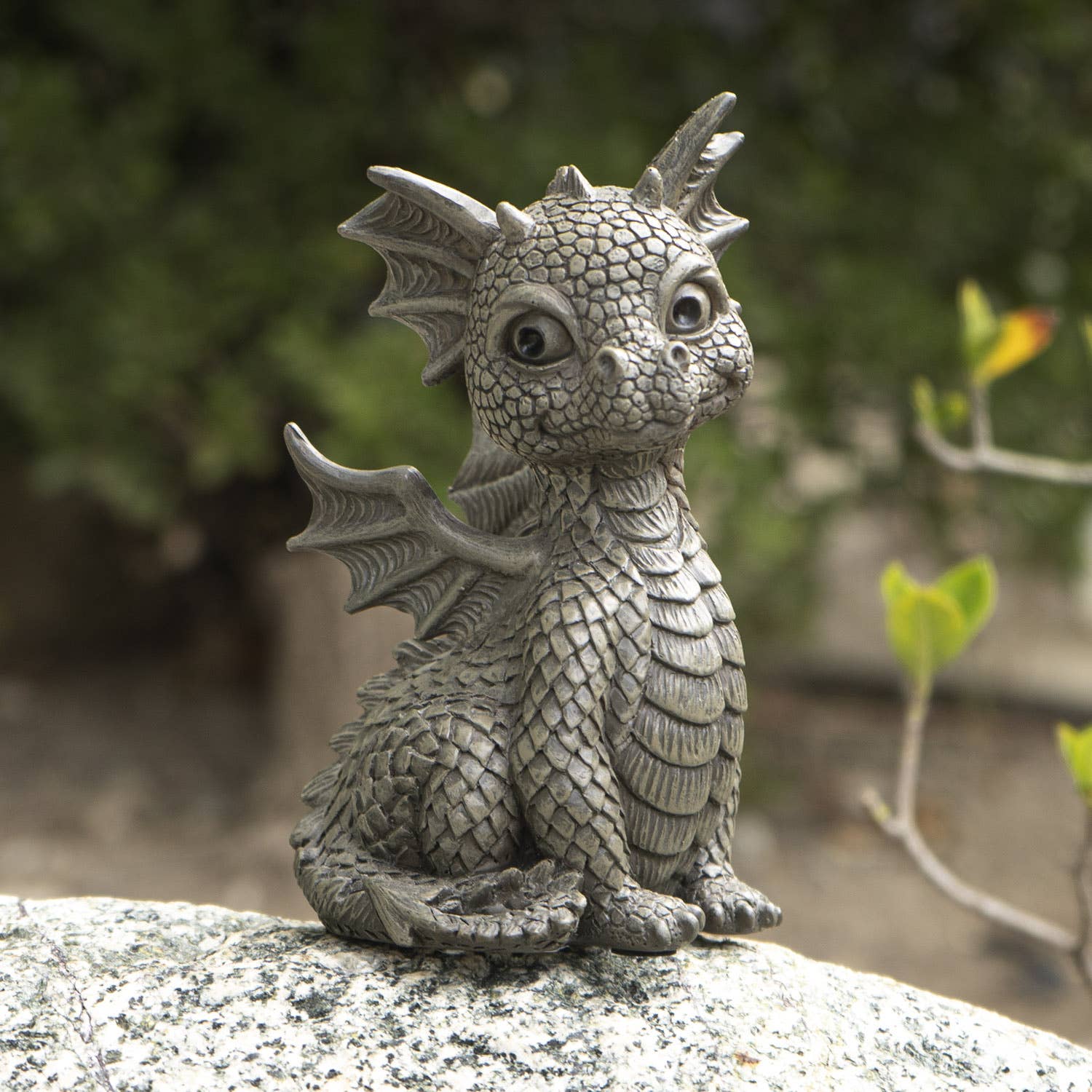 Small Garden Dragon