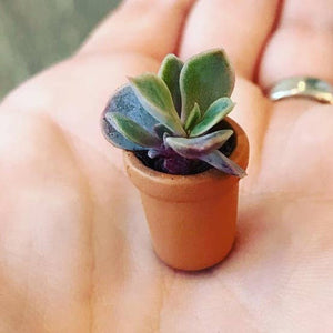 Miniature Faux Terra Cotta Pots