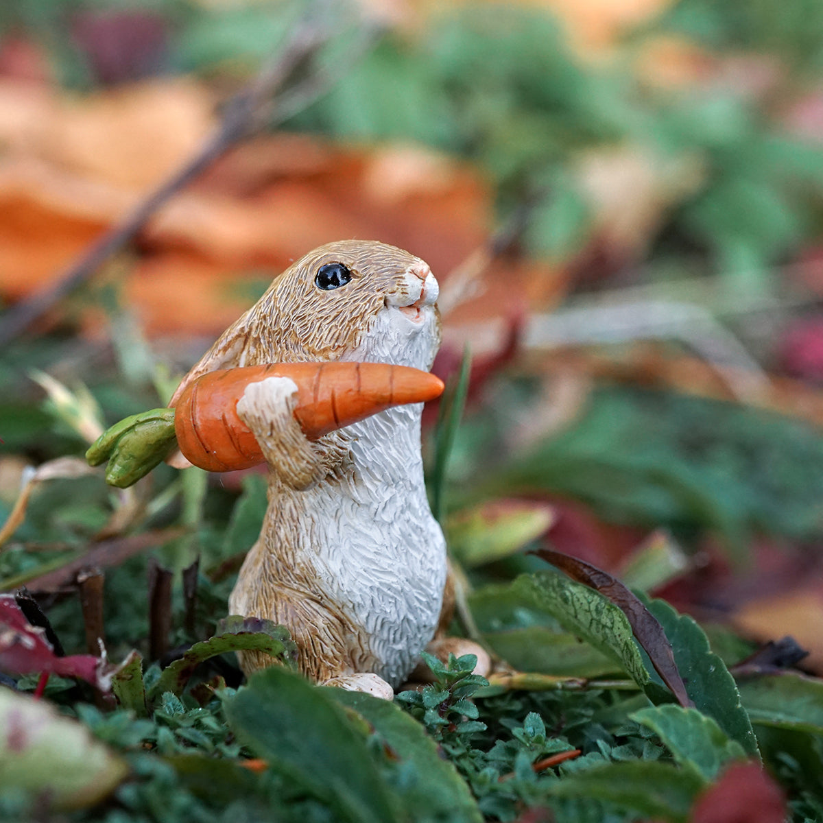 Mini Rabbit With Bird