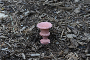 Elegant Mini Planter Salmon