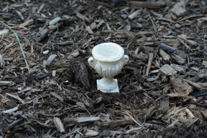 Elegant Mini Planter With Handles Cream