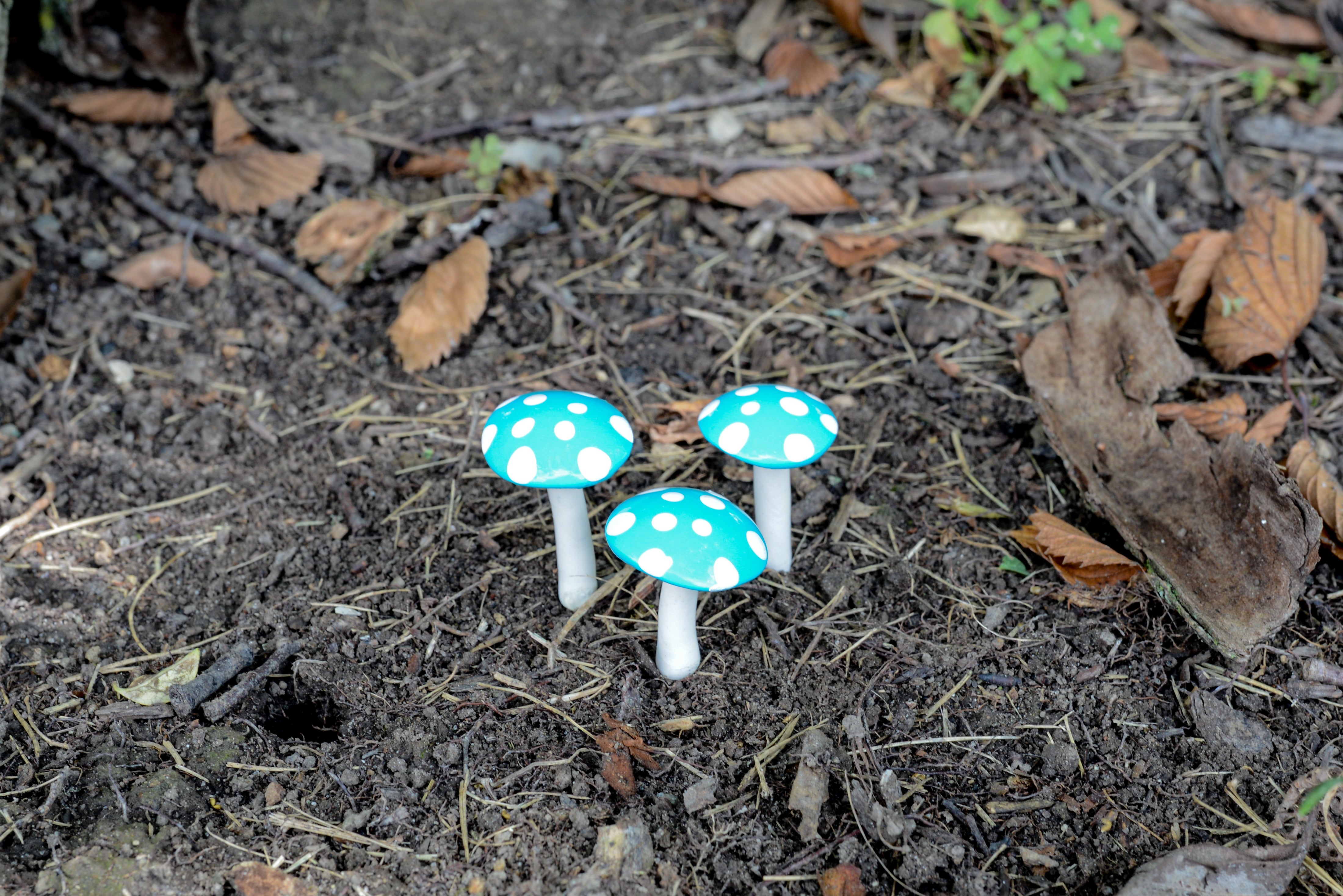 Mini Glossy Mushrooms - Set of 3 - Turquoise