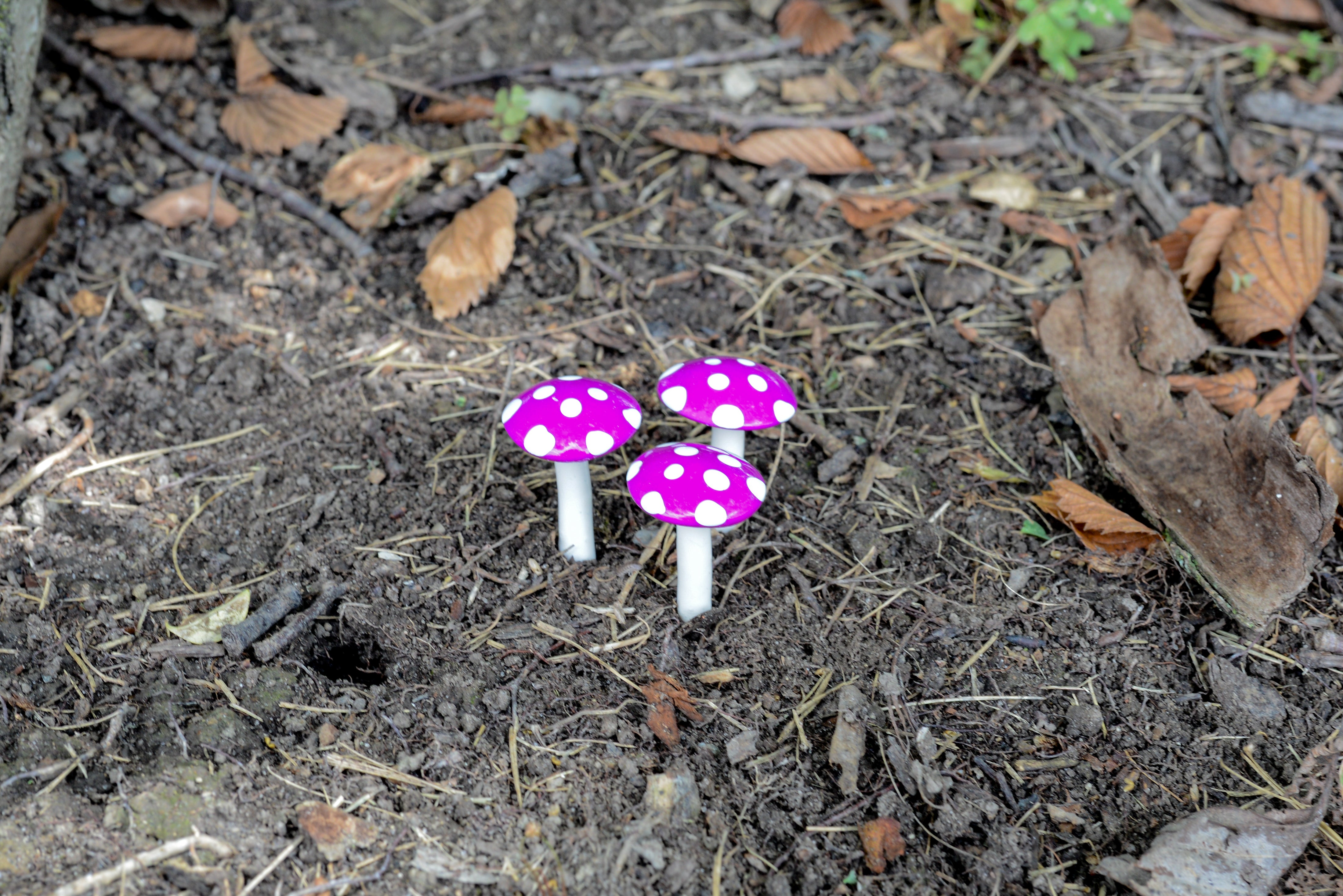 Mini Glossy Mushrooms - Set of 3 - Violet