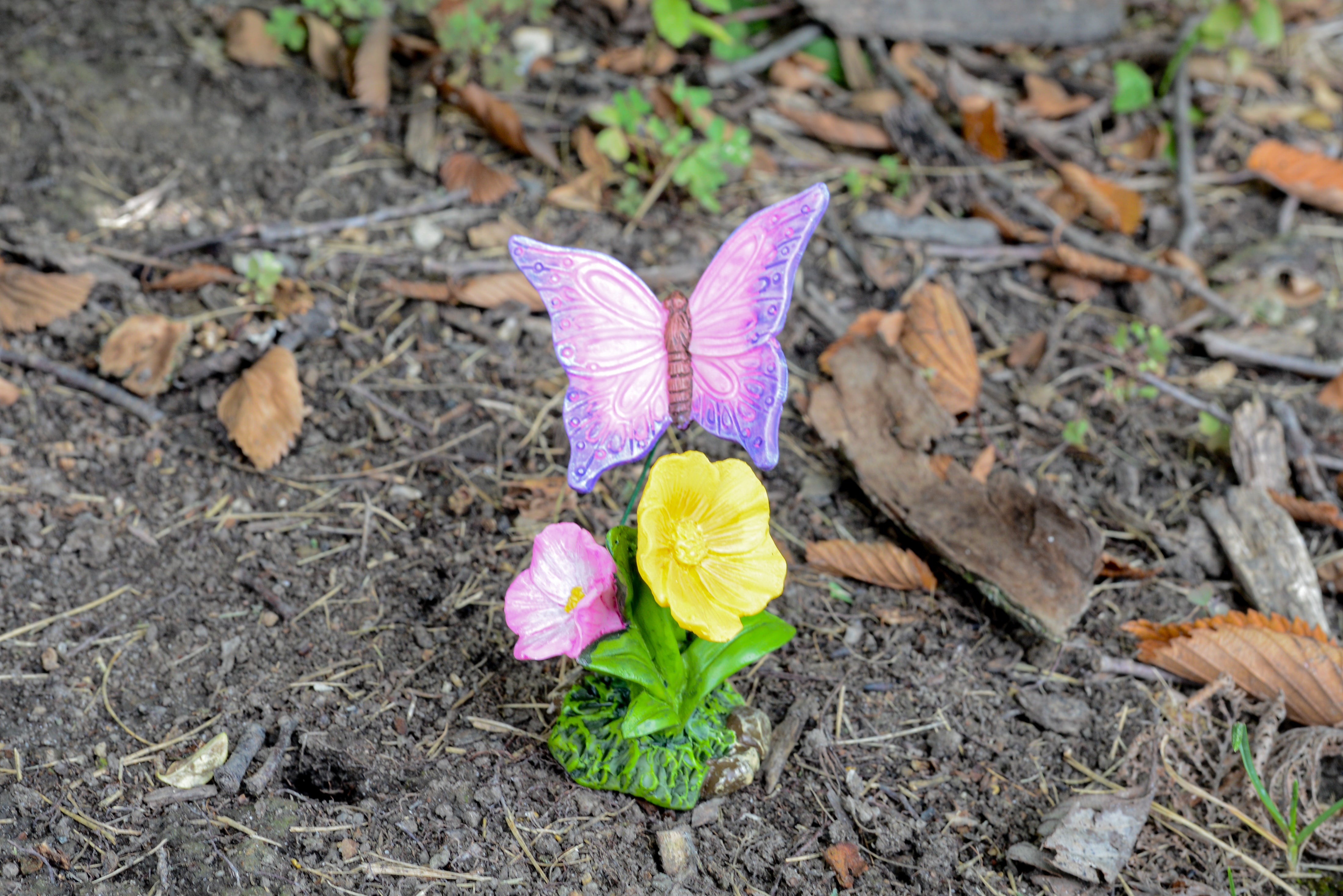 Butterfly Landing