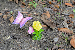 Butterfly Landing