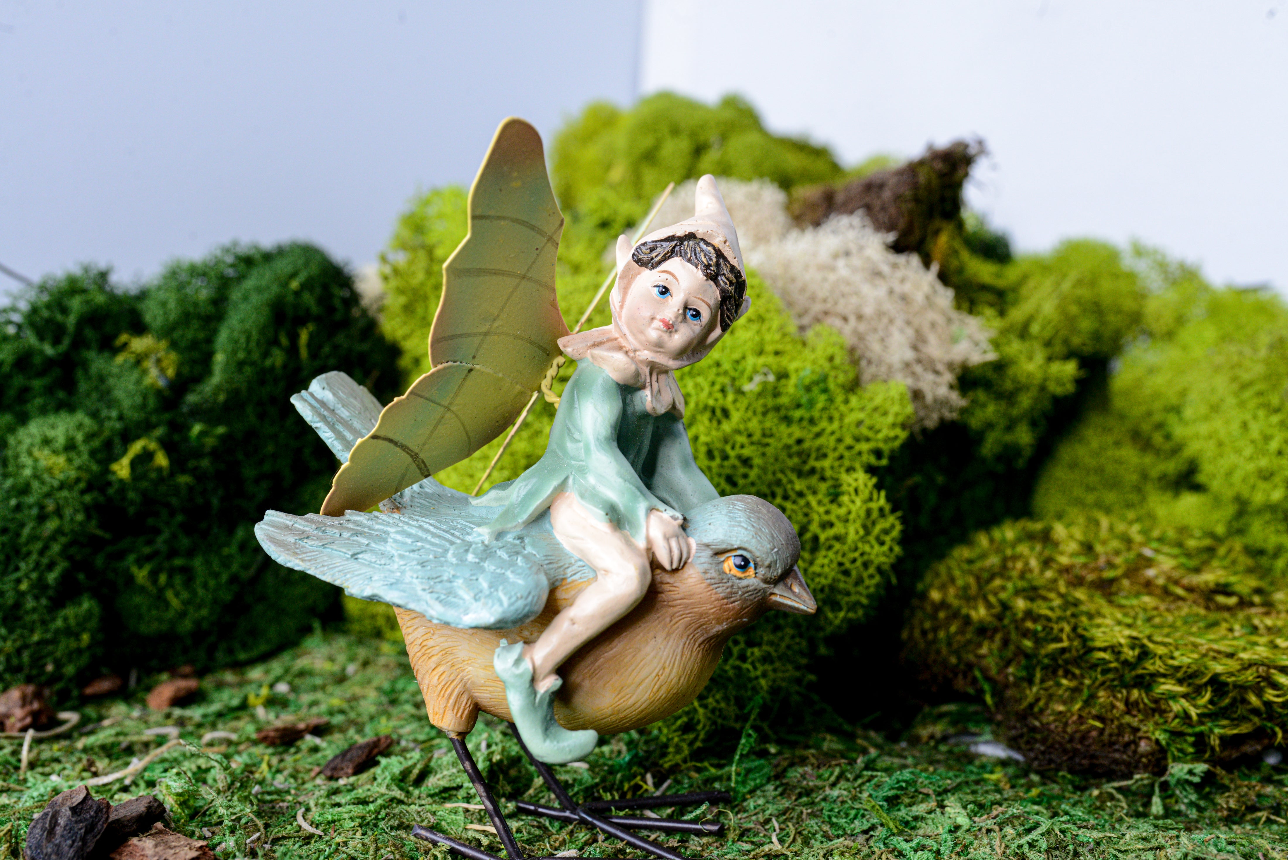 Acorn Fairy Riding a Bluebird