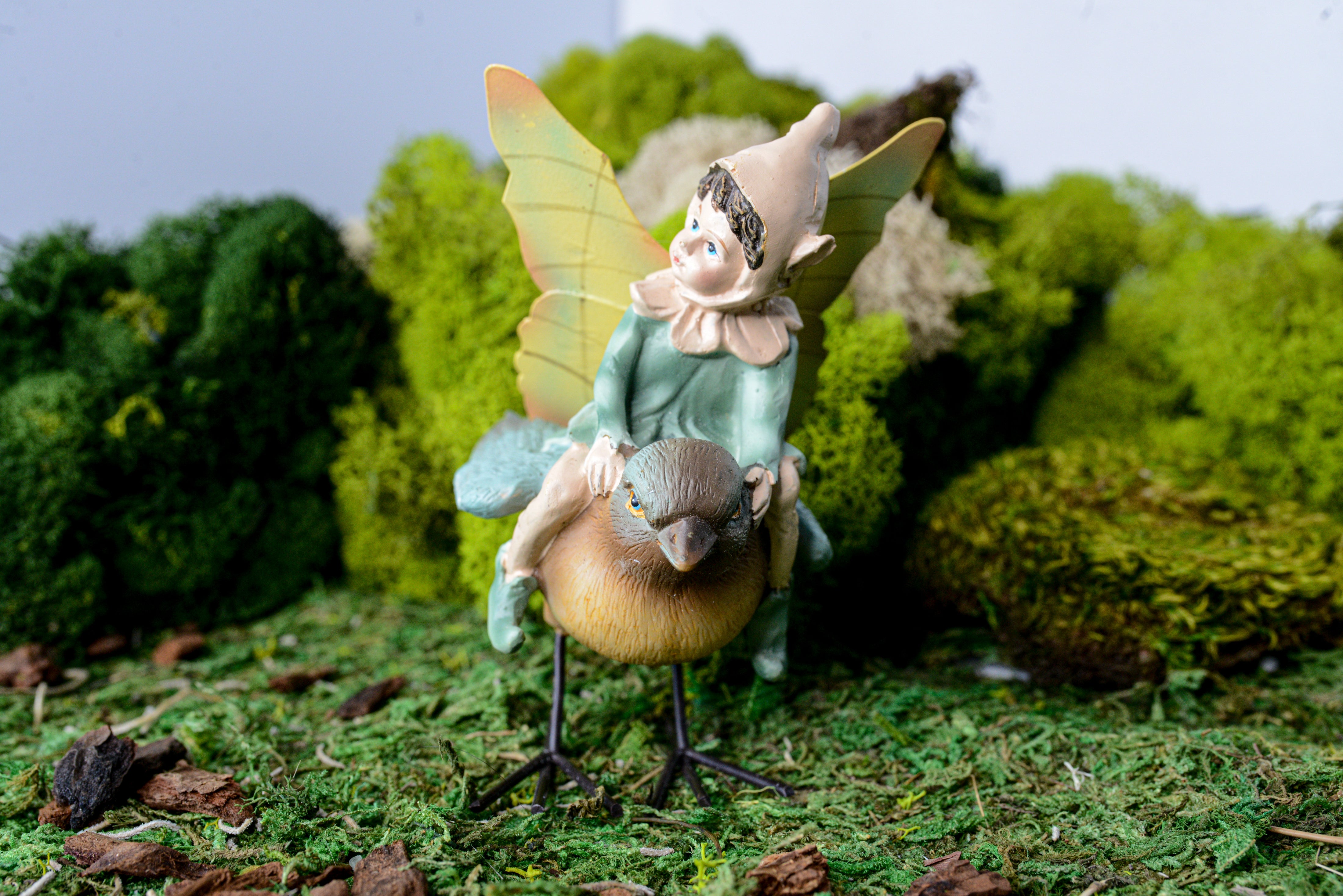 Acorn Fairy Riding a Bluebird