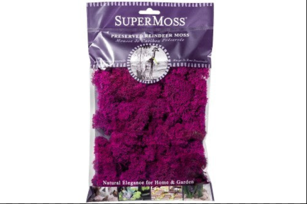 Reindeer Moss 2oz - Fuchsia