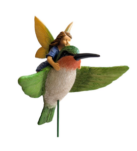 Hummingbird Fairy