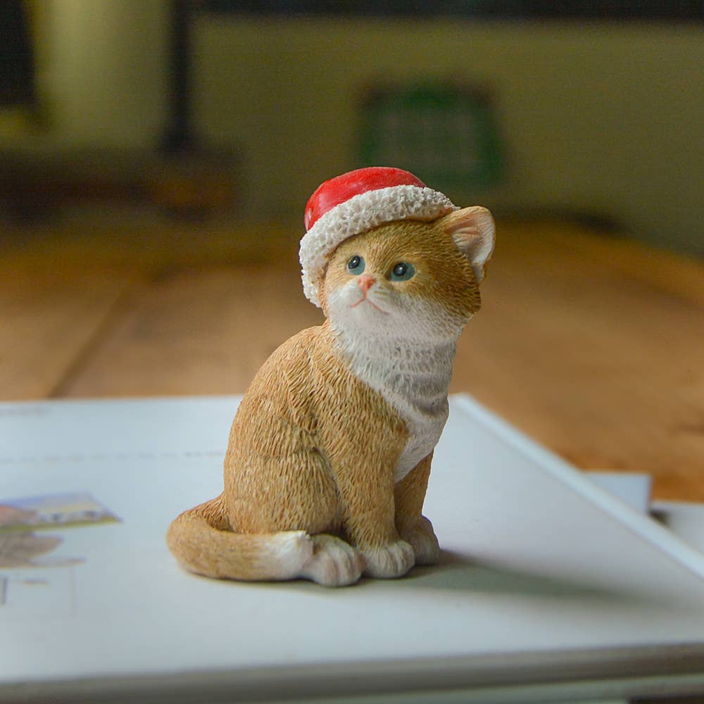 Kitten Wearing Santa Hat
