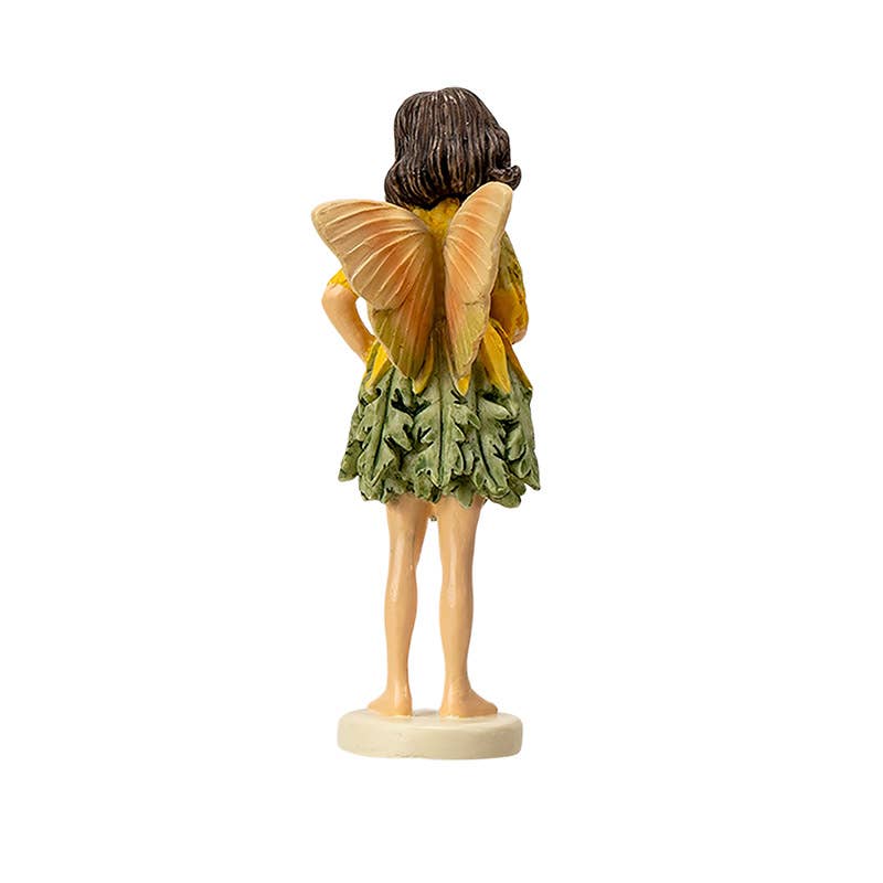 Mini Flower Fairy Ragwort