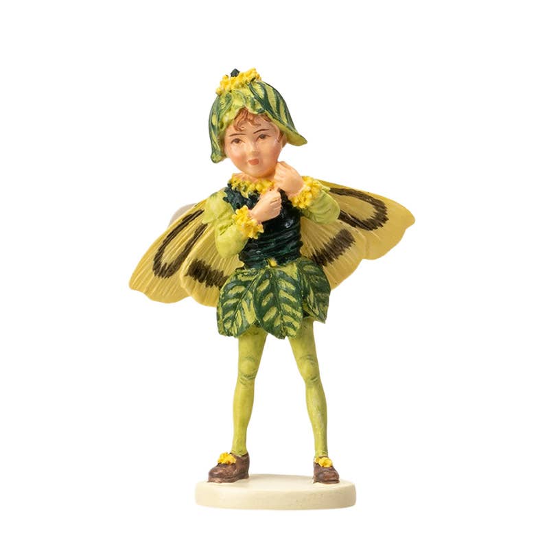 Mini Flower Fairy Boxwood