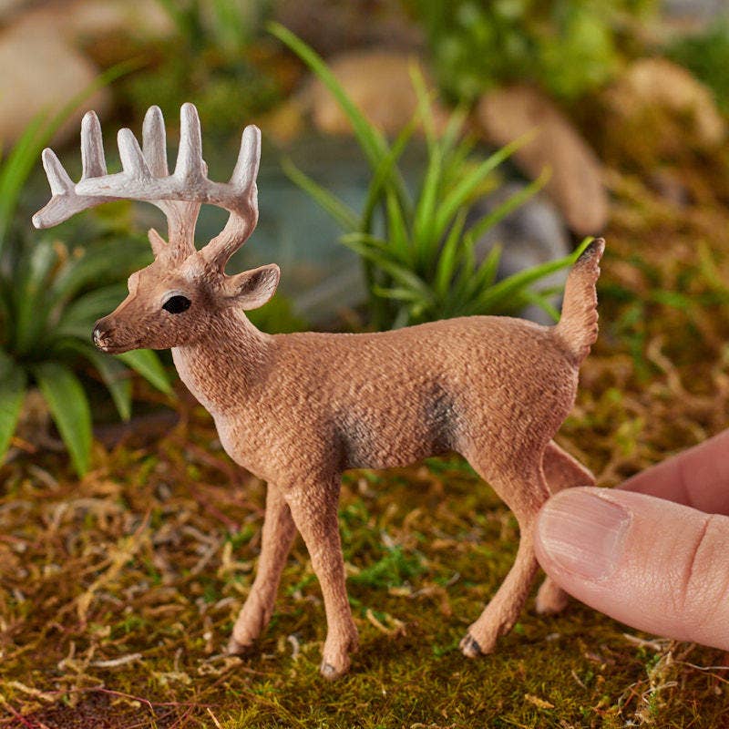 Mini Whitetail Buck Deer