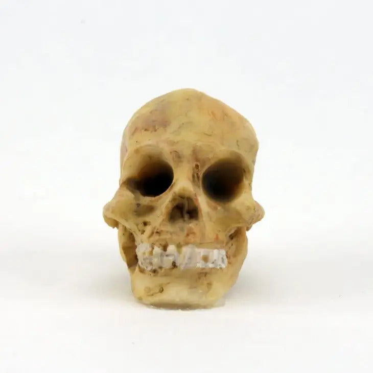 Mini Halloween Skull, Fairy Garden Halloween Skull