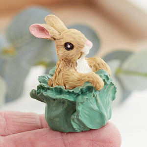 Mini Easter Bunny in Cabbage