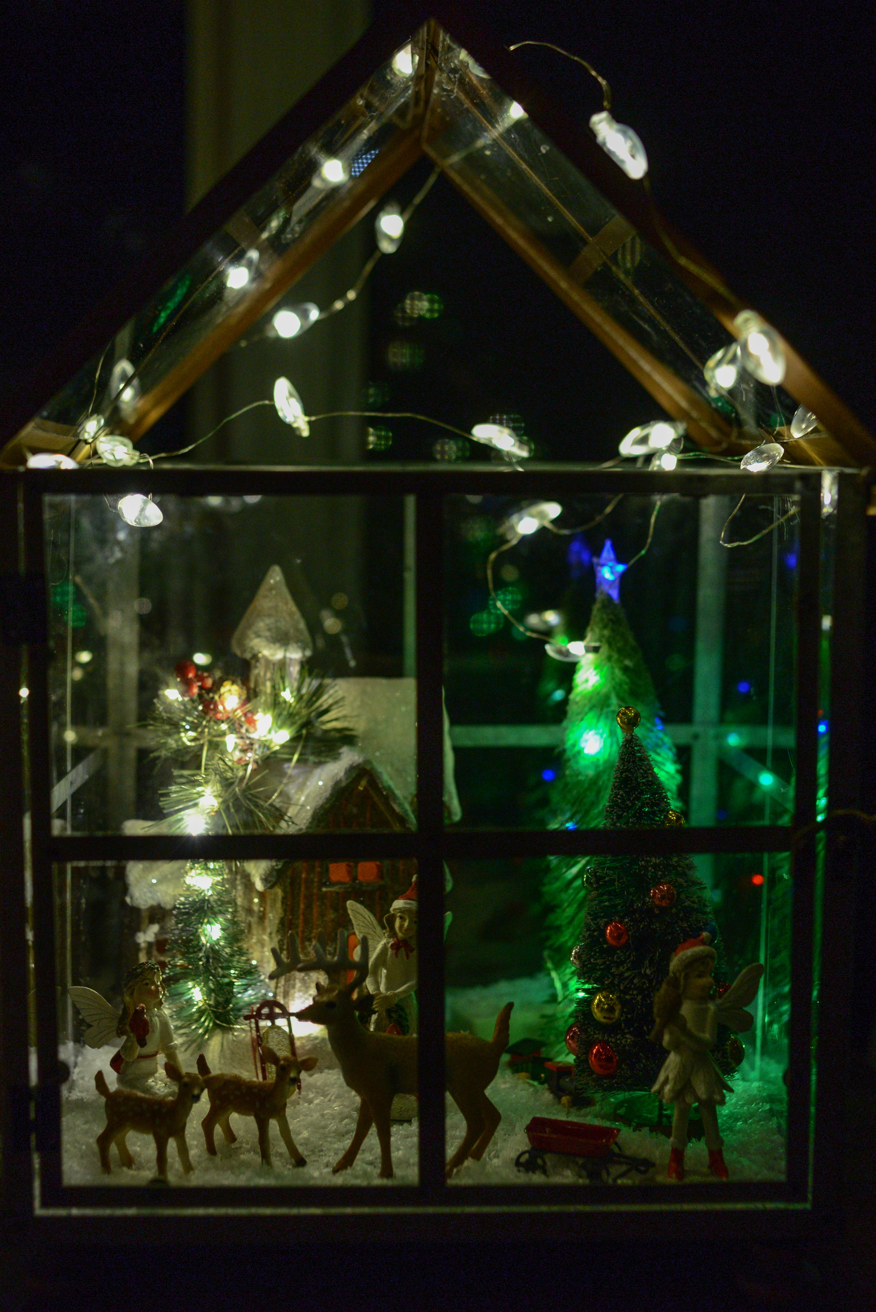 Large Warm Winter Getaway Fairy Terrarium