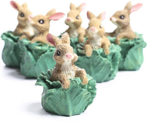 Mini Easter Bunny in Cabbage