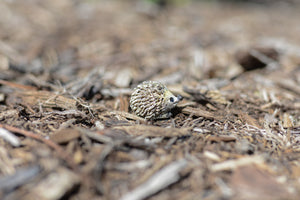 Mini Hedgehog