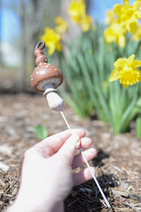 Mini Mushroom Picks Brown