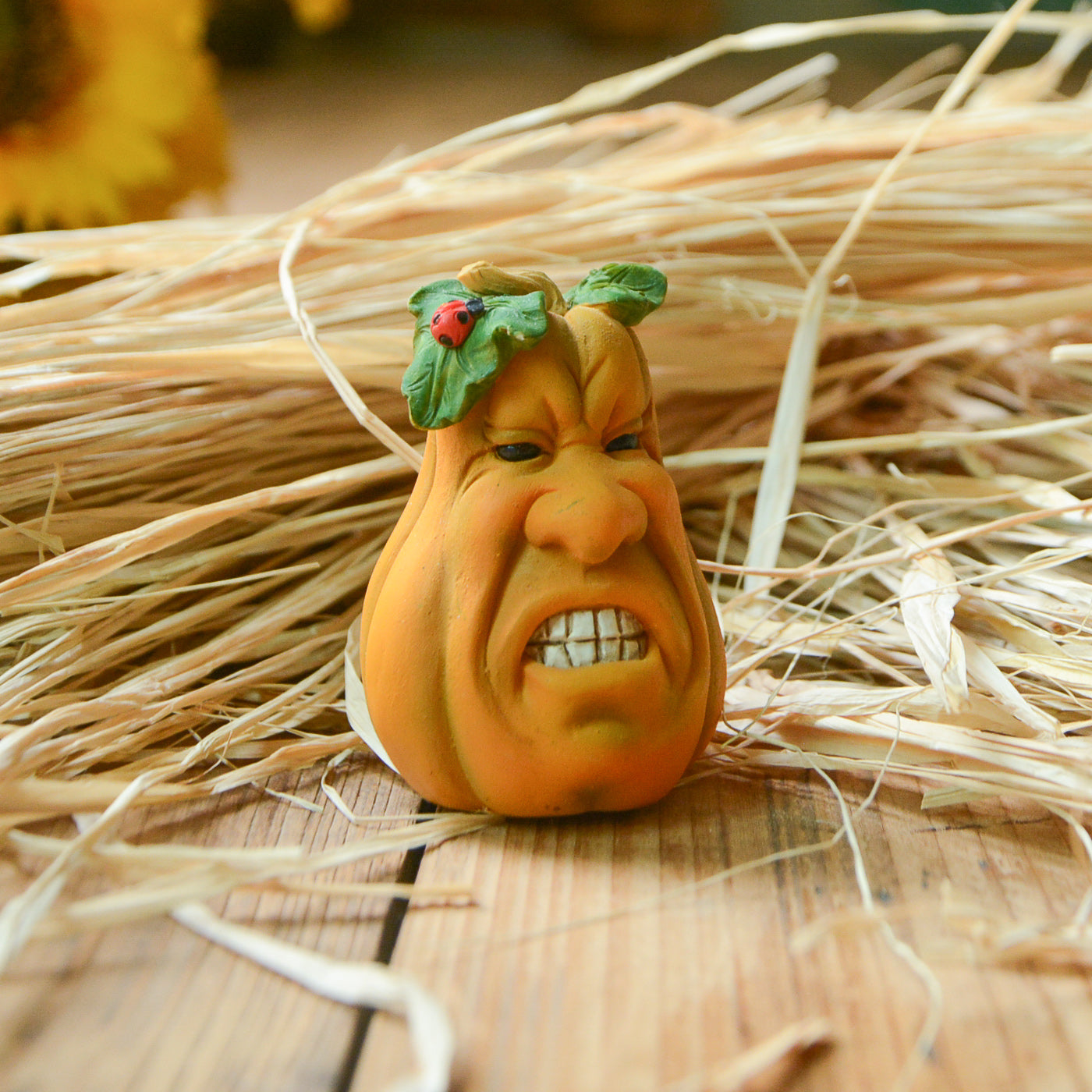 Mini Grumpy Pumpkin, Fairy Garden Pumpkin, Mini Halloween Pumpkin