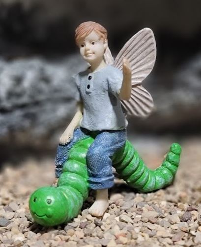 Fairy Blake, Fairy Garden Fairy, Miniature Fairy, Fairy Boy - Mini Fairy Garden World
