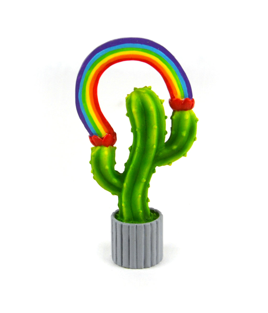 Rainbow Cactus Plant, Miniature Cactus - Mini Fairy Garden World