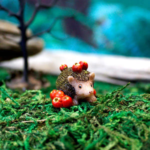 Mini Hedgehog With Apples, Fairy Garden Hedgehog