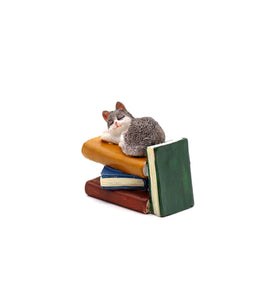 Fairy Garden Napping Cat, Mini Cat Sleeping On Books