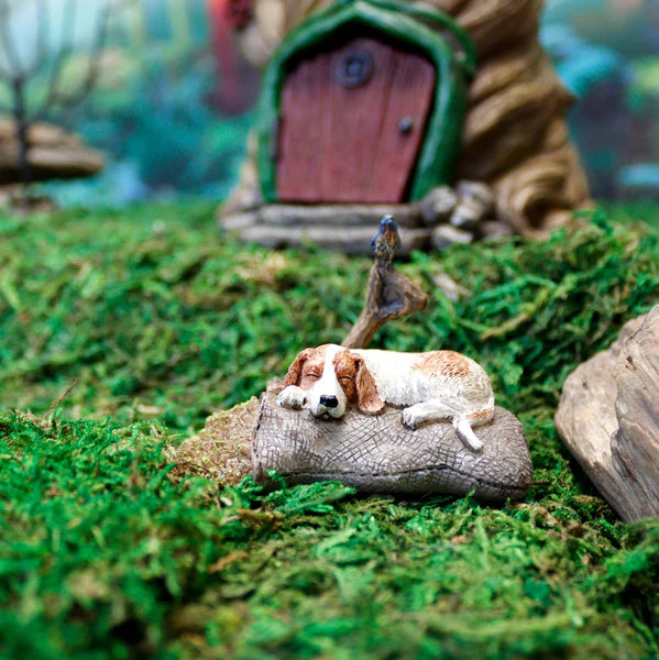 Fairy Garden Dog Sleeping On Seed Bed, Miniature Dog