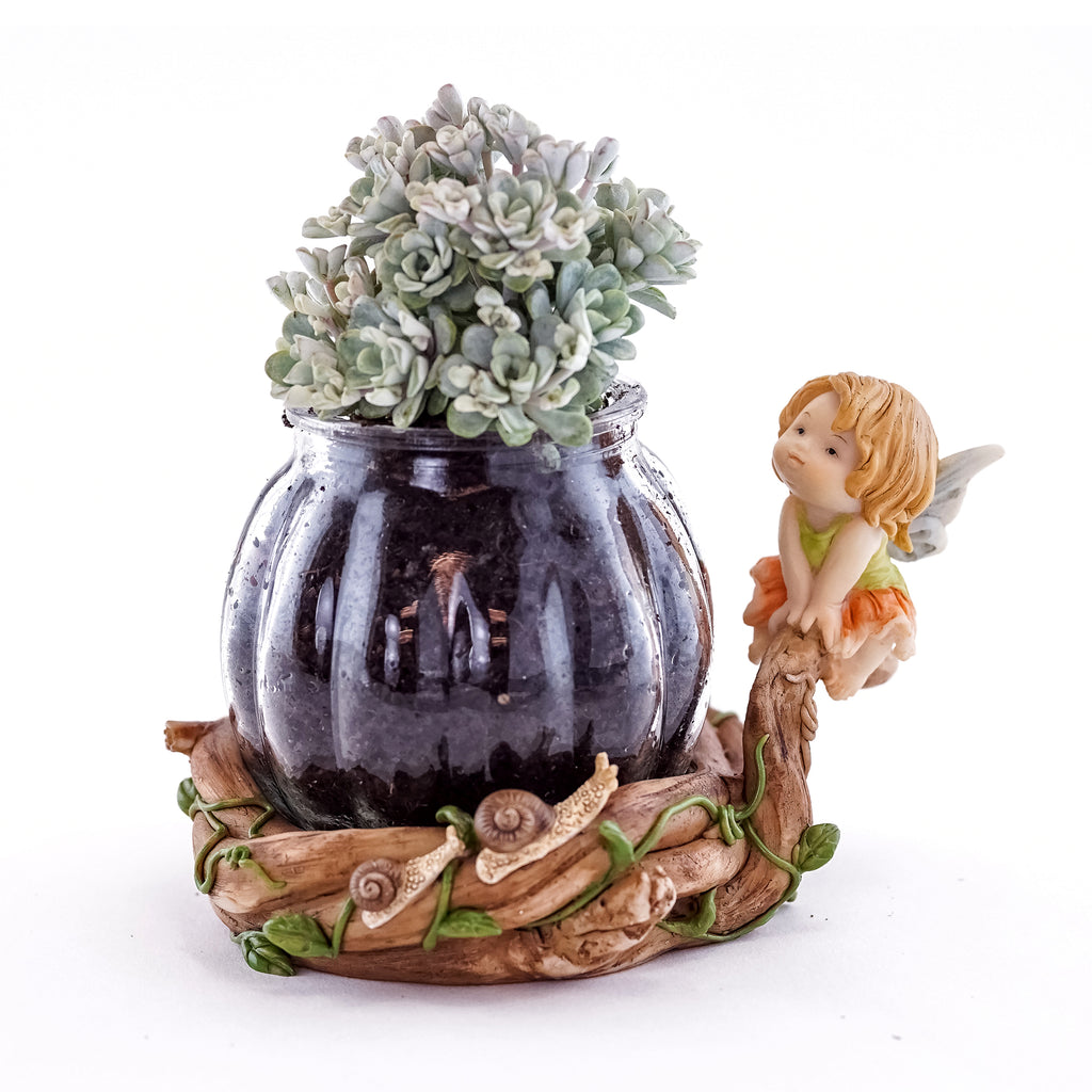 Little Fairy Caroling Suculent And Tillandsia Planter - Mini Fairy Garden World