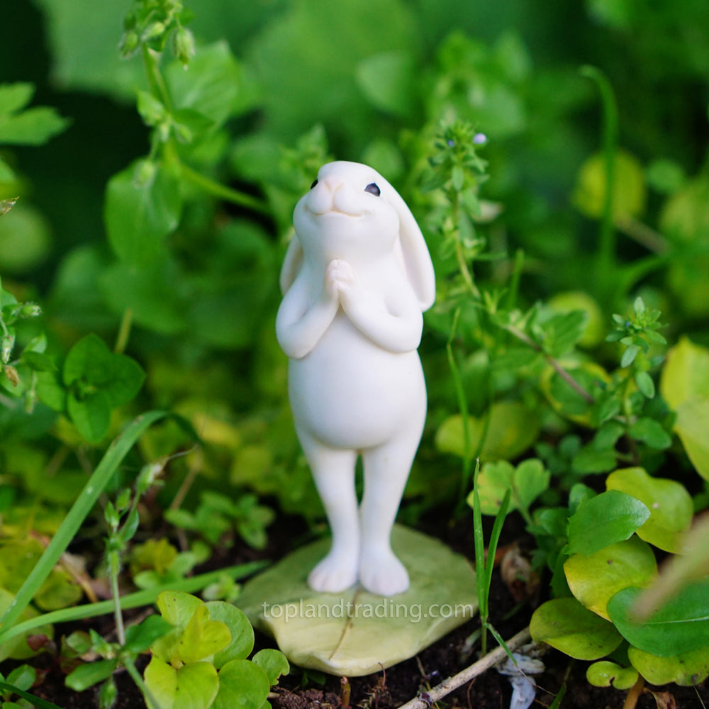 Yoga Bunny Standing Namaste, Fairy Garden Yoga Bunny
