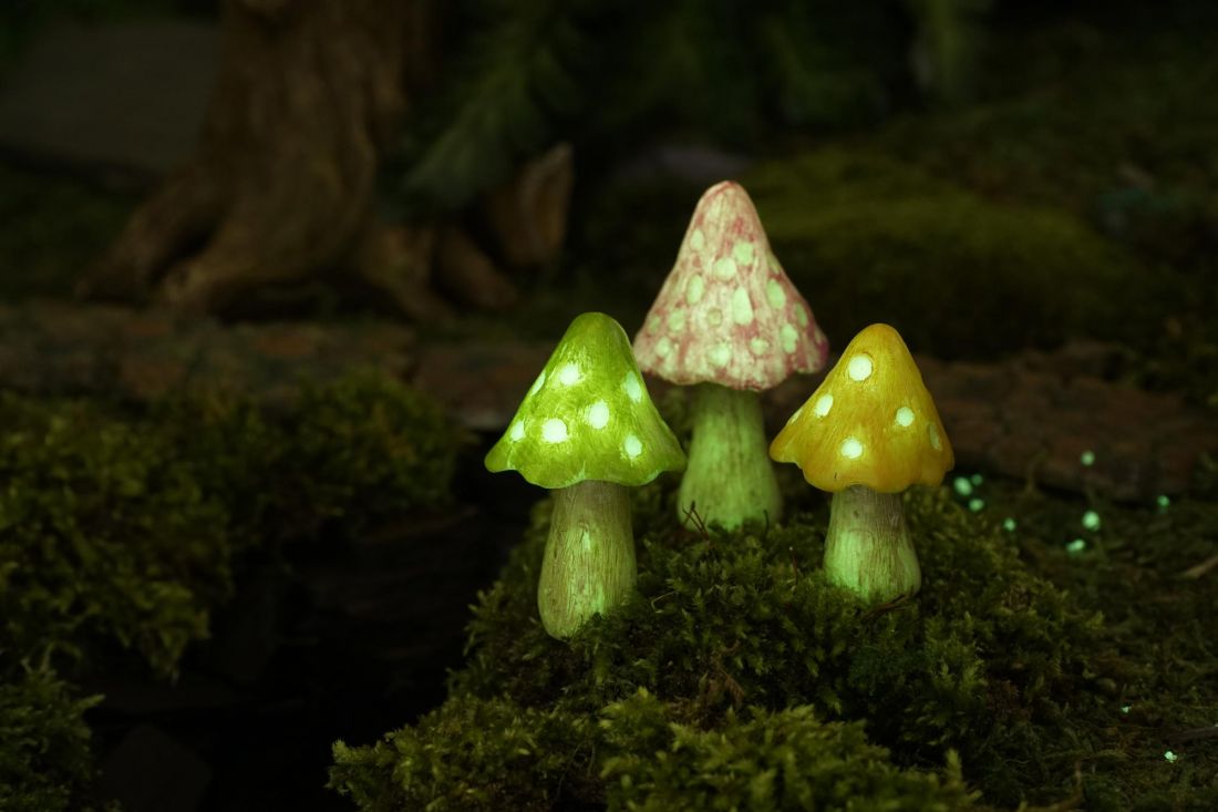 Glowing Mushrooms, Fairy Garden Mushrooms, Mini Mushrooms - Mini Fairy Garden World