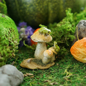 Mini Frogs On Mushrooms, Fairy Garden Frogs - Mini Fairy Garden World