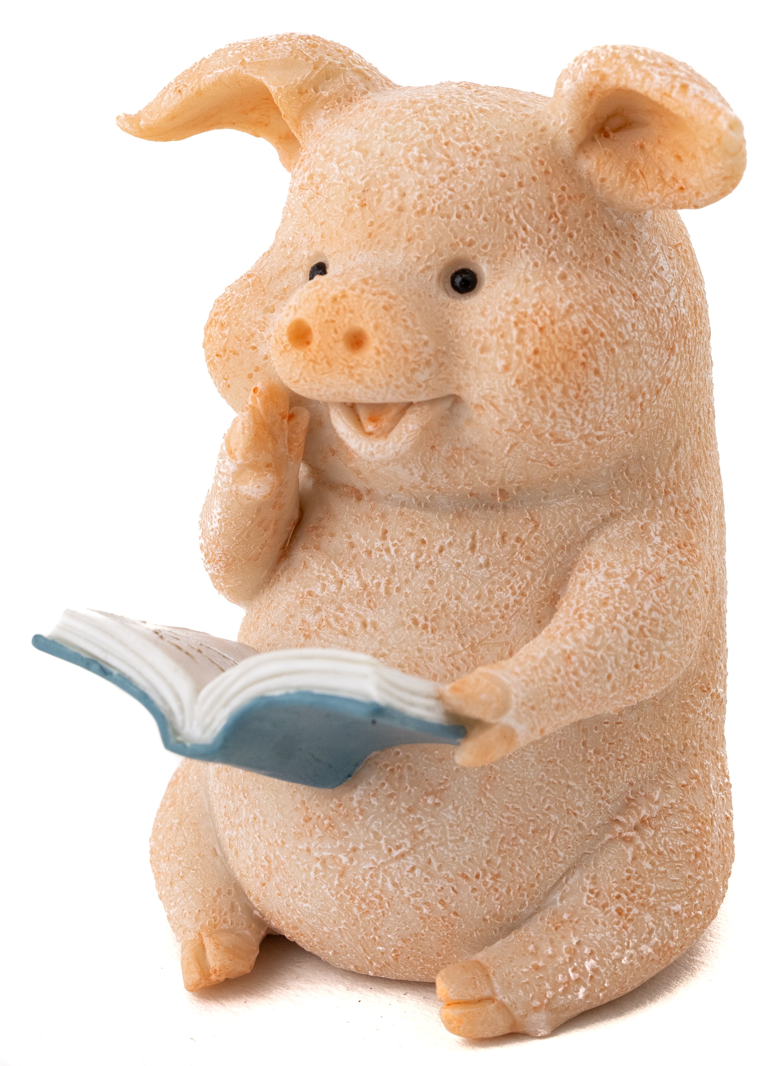Cute Piggy Reading - Mini Fairy Garden World
