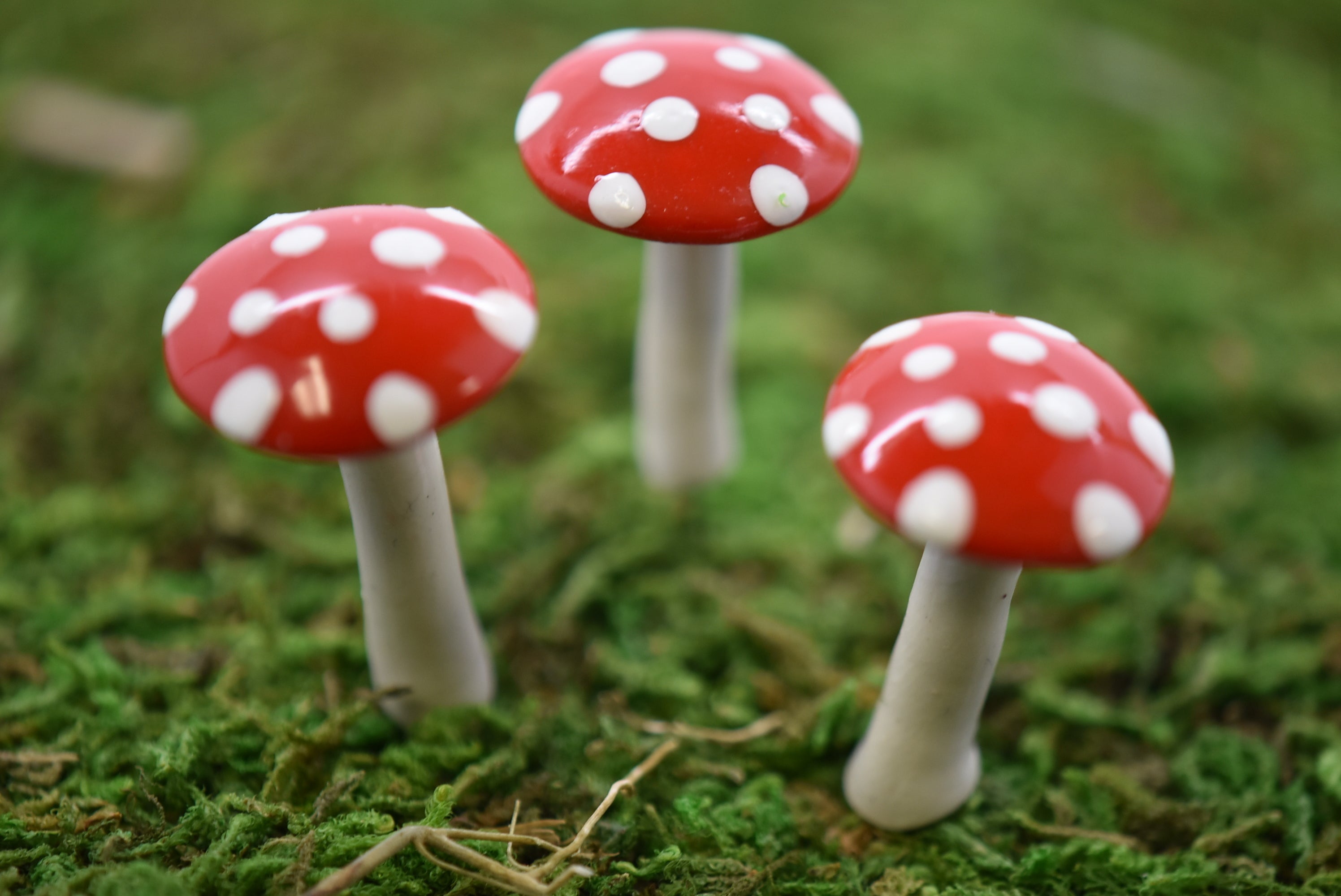 Mini Glossy Mushrooms - Set of 3 - Red - Mini Fairy Garden World