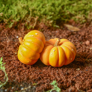 Mini Pumpkins, Fairy Garden Pumpkin, Mini Halloween Pumpkin