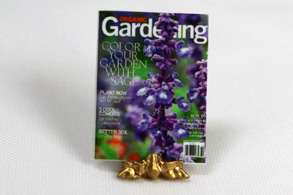 Mini Magazine Gardening - Mini Fairy Garden World