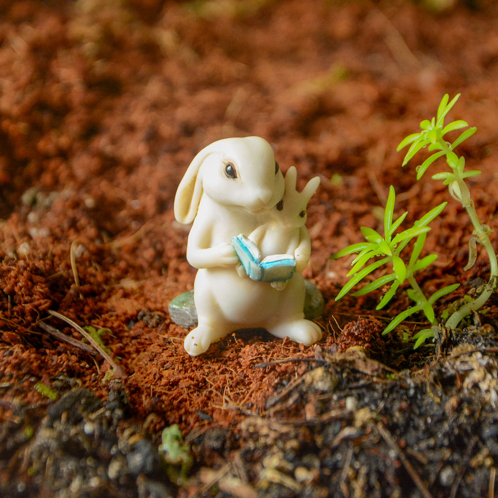 Mama Bunny And Baby Bunny Reading, Fairy Garden Rabbits - Mini Fairy Garden World