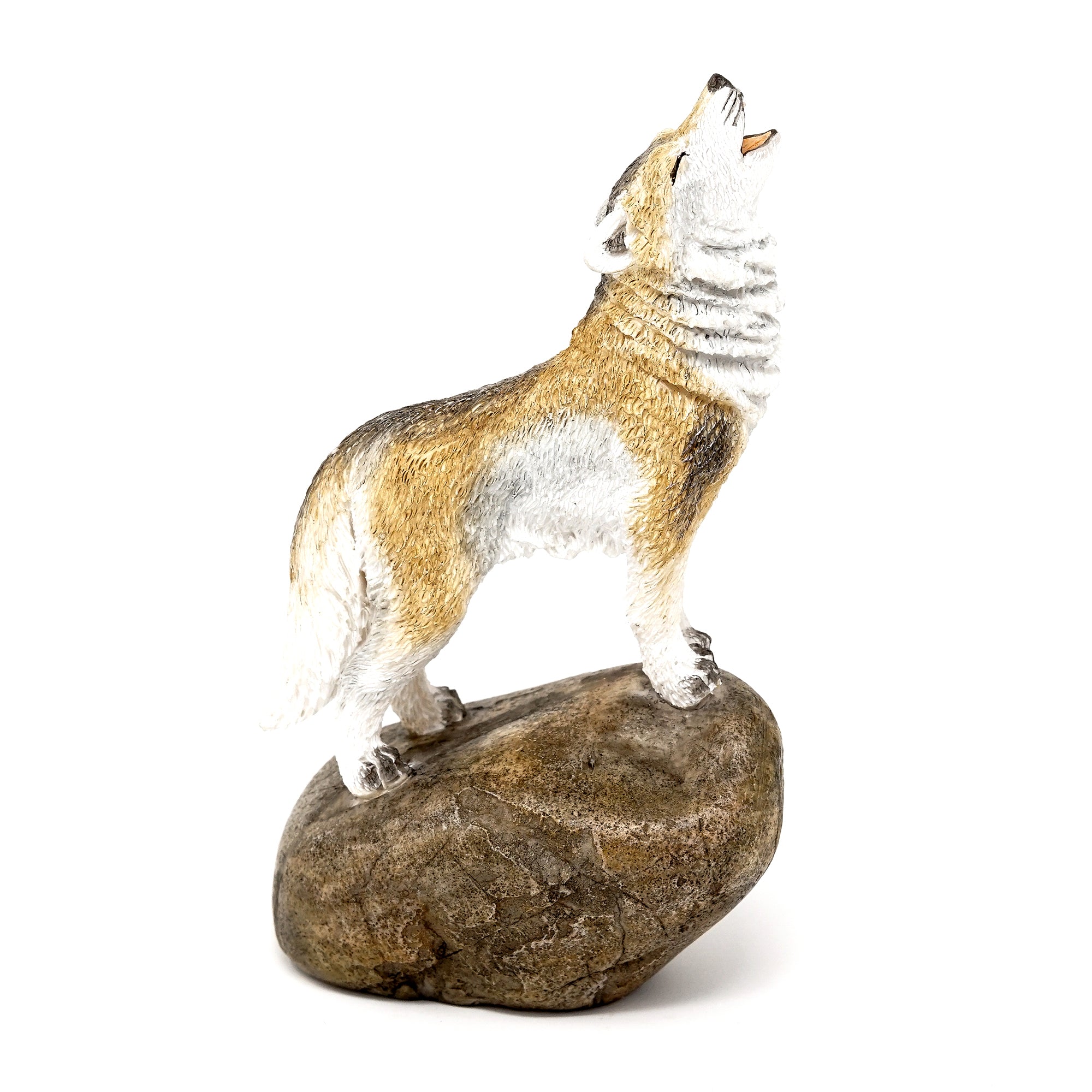Howling Wolf On Rock