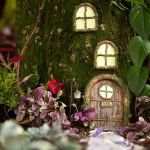 Fairies Welcome Fairy Door, Glows In The Dark Fairy Door And Windows - Mini Fairy Garden World
