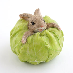 Rabbit Stuck In Cabbage, Mini Rabbit, Fairy Garden Rabbit - Mini Fairy Garden World