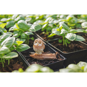 Cute Mini Owl - Mini Fairy Garden World